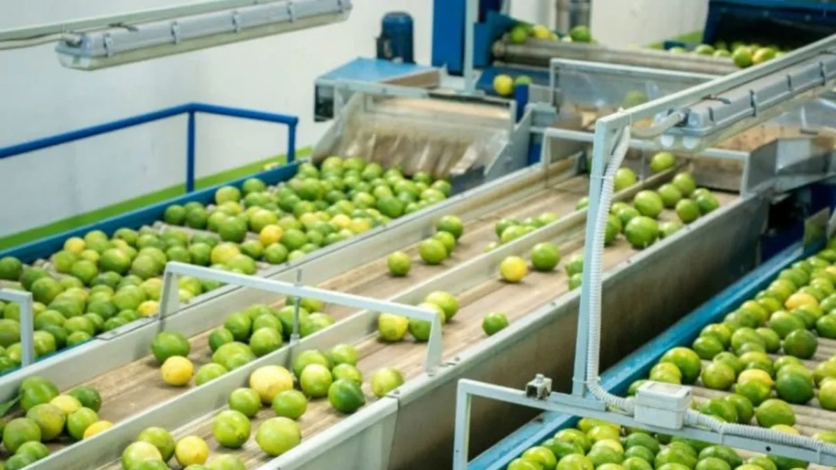Inversiones Cítricas se posiciona en el top de Agroinversiones en la Expo Invierte 2024