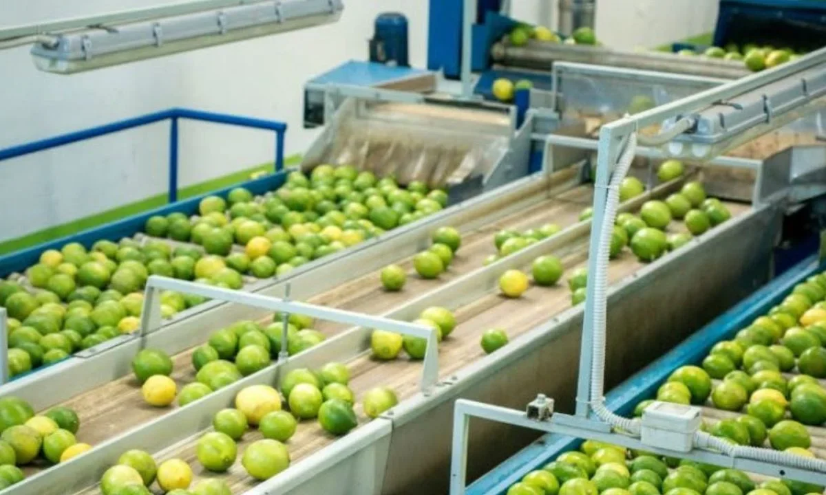Inversiones Cítricas se posiciona en el top de Agroinversiones en la Expo Invierte 2024