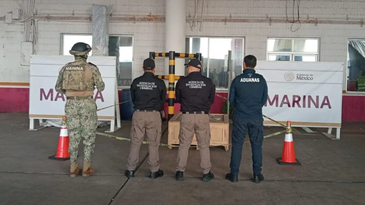Marina asegura 96 kilogramos de droga alucinógena en Veracruz