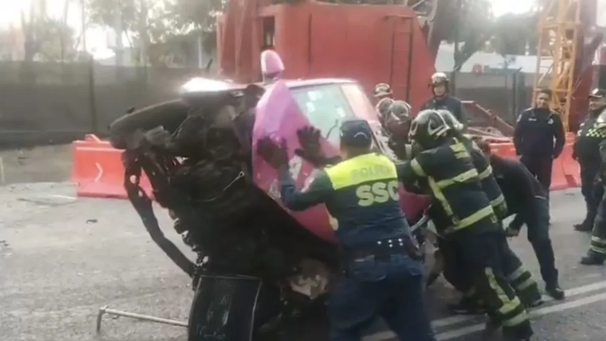 Un taxista perdió la vida en la colonia Obrera tras estrellarse contra una palmera, antes lo captaron con actitud errática.