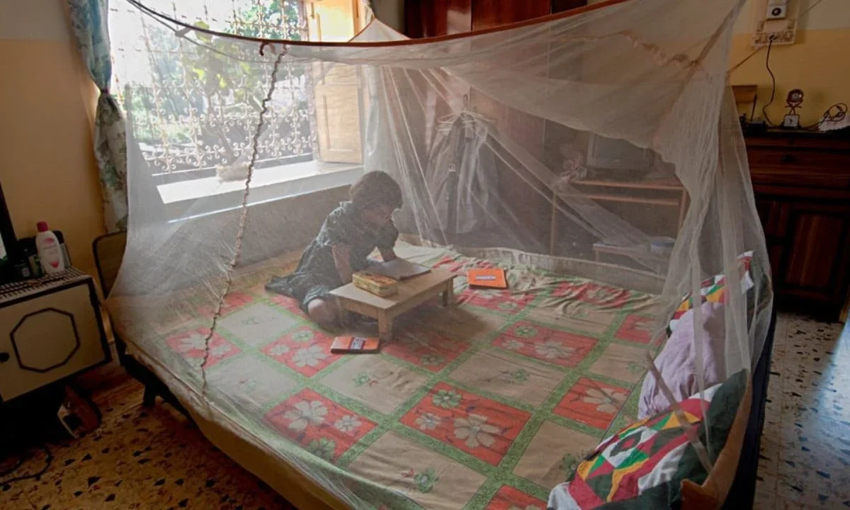 OMS lanza alerta sobre el aumento en las muertes y casos de malaria