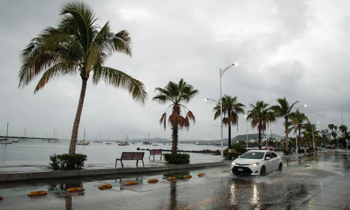 Durante la Temporada de Lluvias y Ciclones Tropicales de este 2025, se registraron 31 ciclones tropicales.