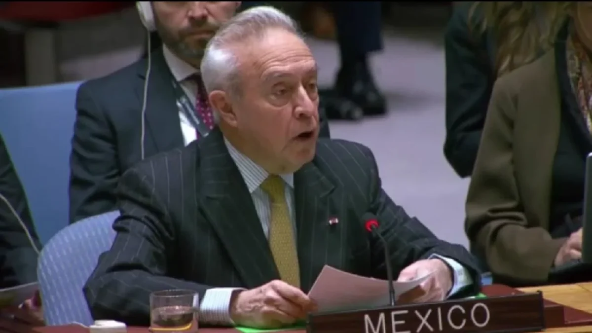 México reitera que corresponde al pueblo venezolano determinar su futuro político. dijo el representante mexicano ante la ONU.