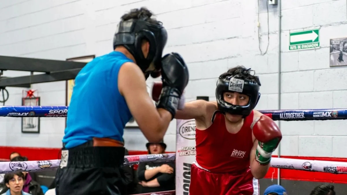 Este fin, se celebrará la edición 16 del Torneo Sport Boxing, el cual ha visto nacer a un dos subcampeones y un campeón de Guantes de oro.