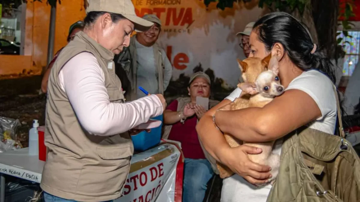 Con las jornadas de vacunación y la participación activa de los dueños responsables, Campeche se mantiene libre de rabia.
