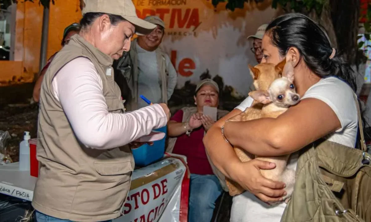 Con las jornadas de vacunación y la participación activa de los dueños responsables, Campeche se mantiene libre de rabia.