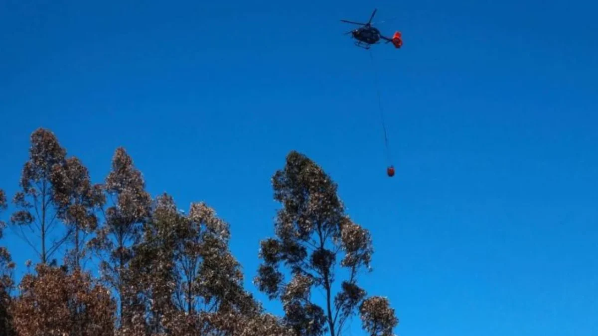 Brigadistas mexicanos trabajan en contención de incendios forestales de Chile