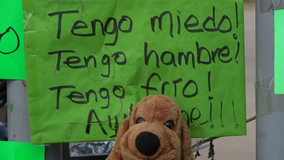 Congreso CDMX abre registro para participar en foros de regulación de albergues animales