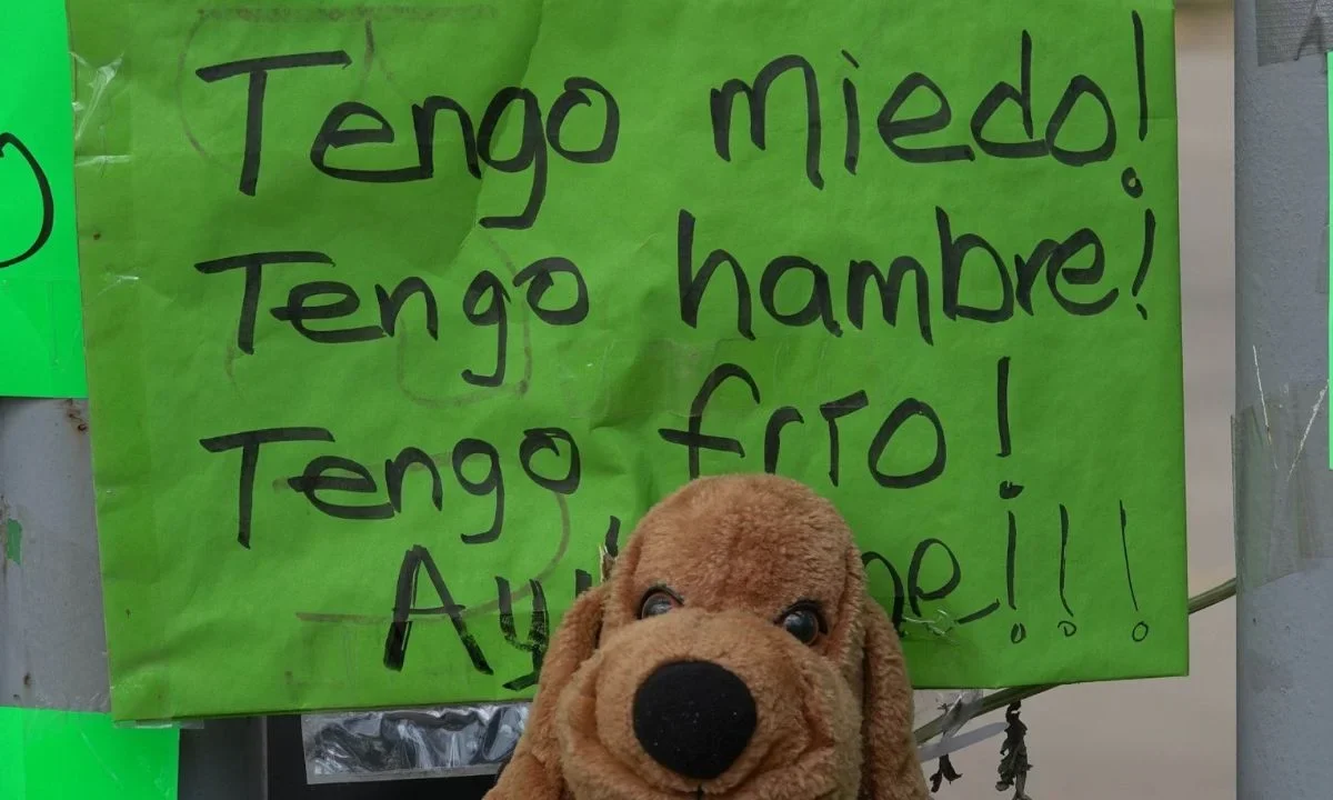 Congreso CDMX abre registro para participar en foros de regulación de albergues animales