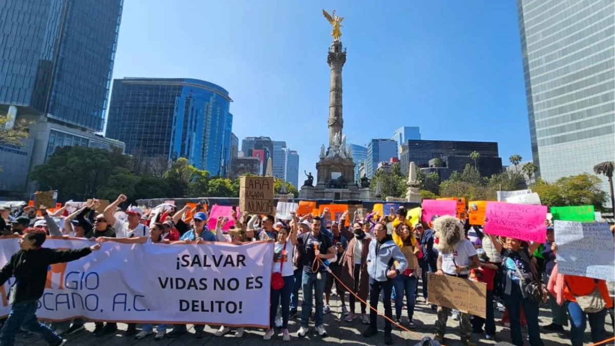 'No fue rescate, fue despojo': marchan en apoyo a Refugio Franciscano en CDMX