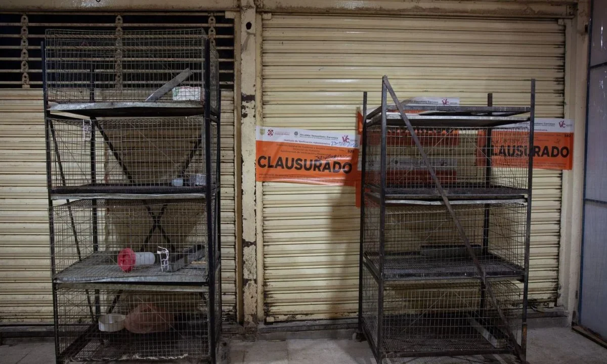 Realizan operativo contra venta de animales en Mercado de Sonora
