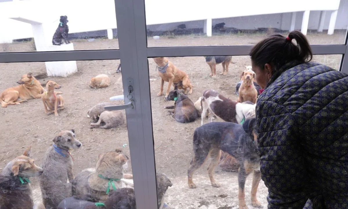 Refugio Franciscano sostiene nueva reunión con autoridades