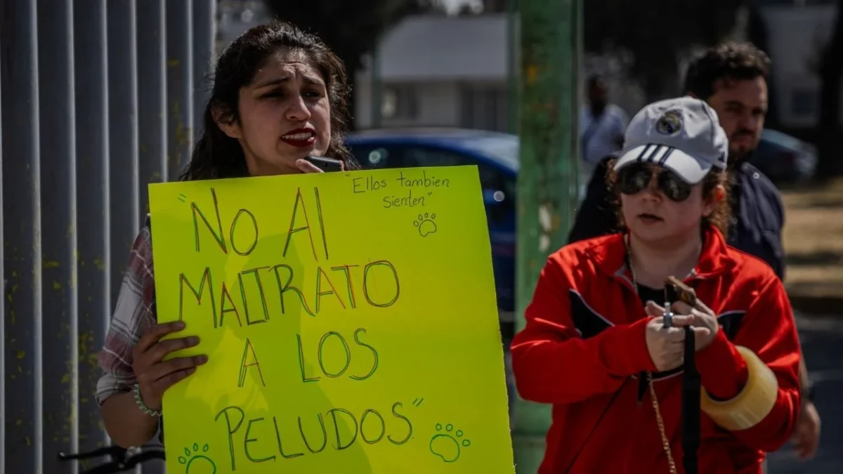 Refugio Franciscano supervisa estado de animales trasladados, visita albergues