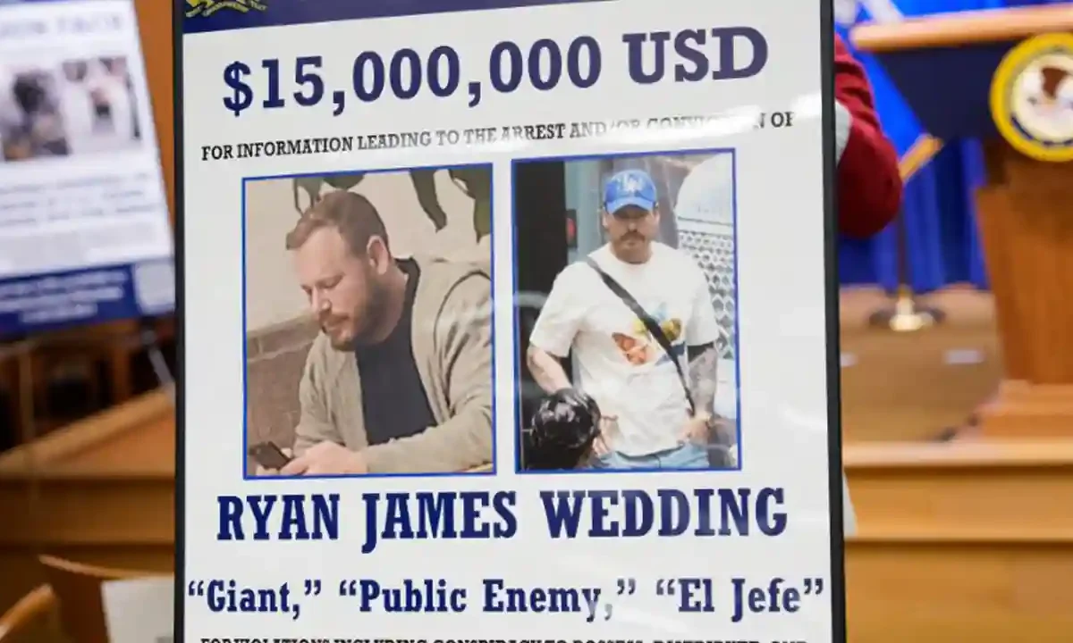 Ryan Wedding