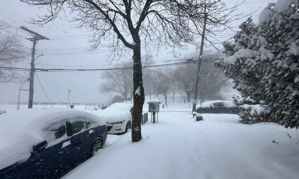 Tormenta invernal Fern deja al menos 30 muertos por frío extremo