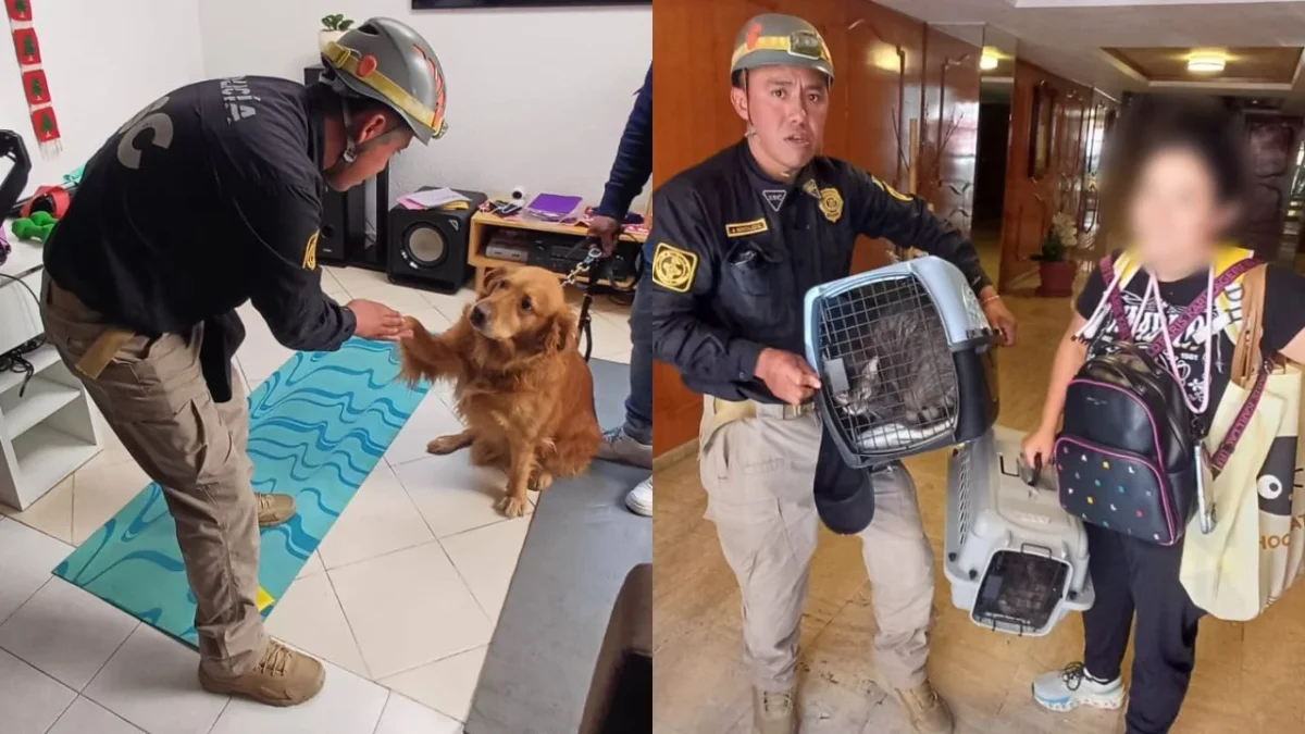 Tras explosión en Paseo de Taxqueña, personal de la BVA brindó atención médica veterinaria a 15 mascotas que habitaban viviendas afectadas.