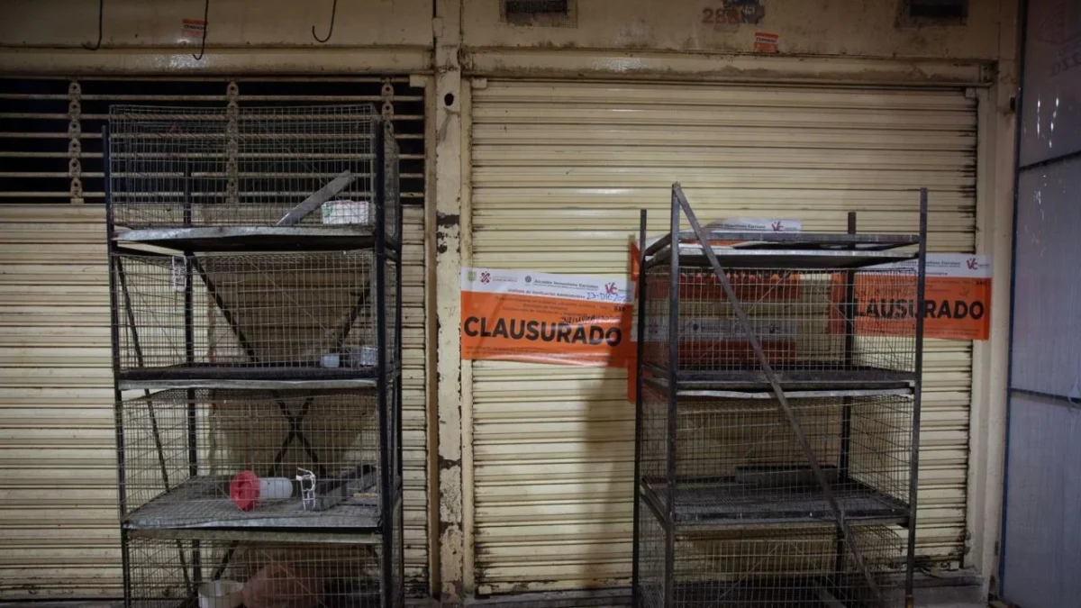 La reciente clausura del mercado de Sonora en la CDMX, ha generado un debate sobre la protección animal y el impacto en los comerciantes.