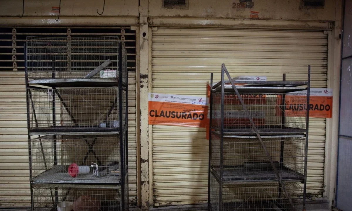 La reciente clausura del mercado de Sonora en la CDMX, ha generado un debate sobre la protección animal y el impacto en los comerciantes.