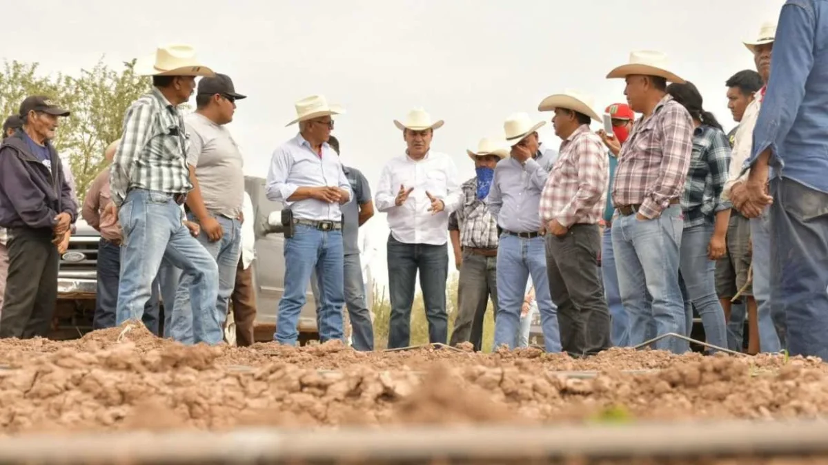 Bajo el liderazgo de Alfonso Durazo, se fortalece el campo sonorense.