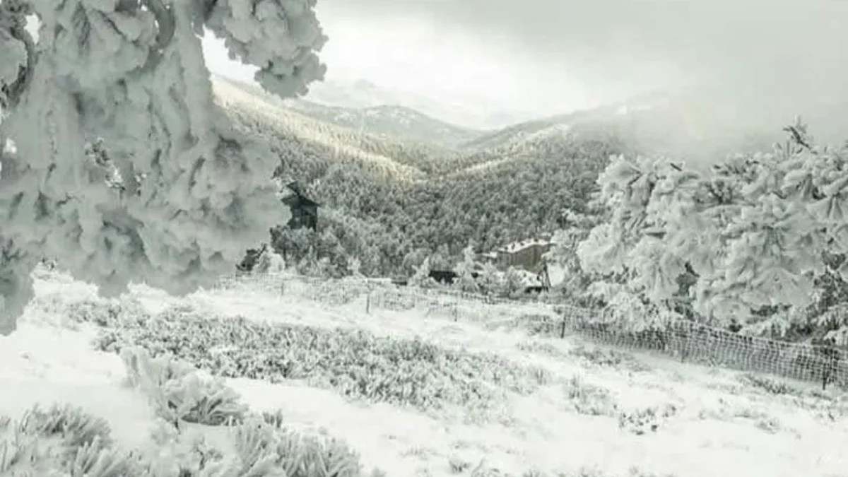 Los frentes fríos 28 y 29 provocarán bajas temperaturas, lluvias intensas, evento de norte y caída de nieve o aguanieve en varios estados.