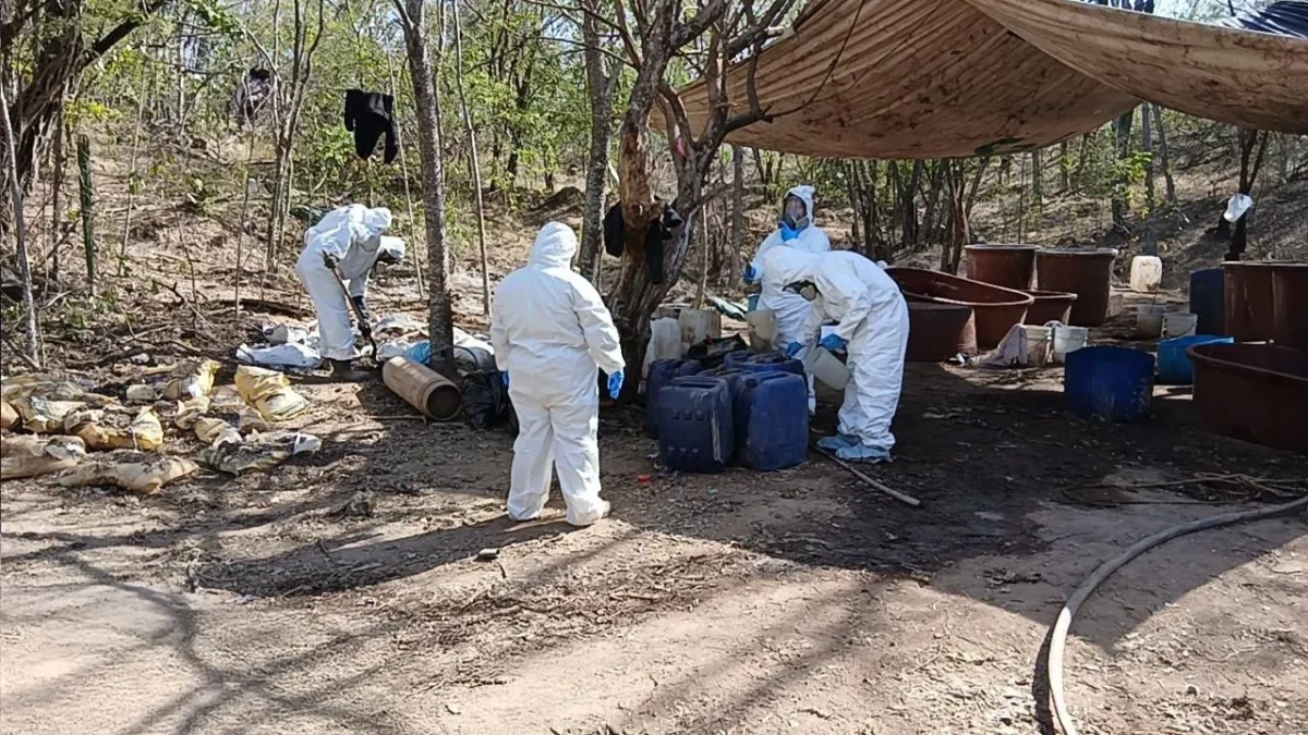 Desmantelan tres laboratorios clandestinos de metanfetaminas