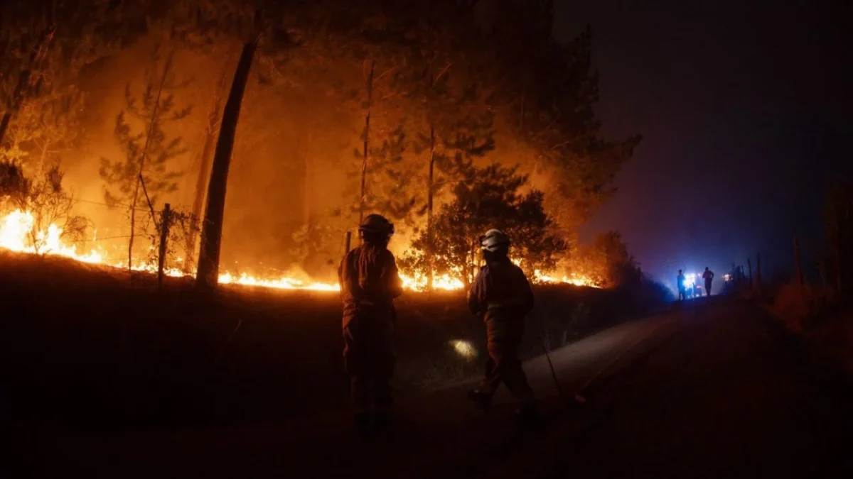 La detención del responsable de iniciar los incendios al sur de Chile se produjo en la zona de Perquenco, junto a un bidón con acelerantes.