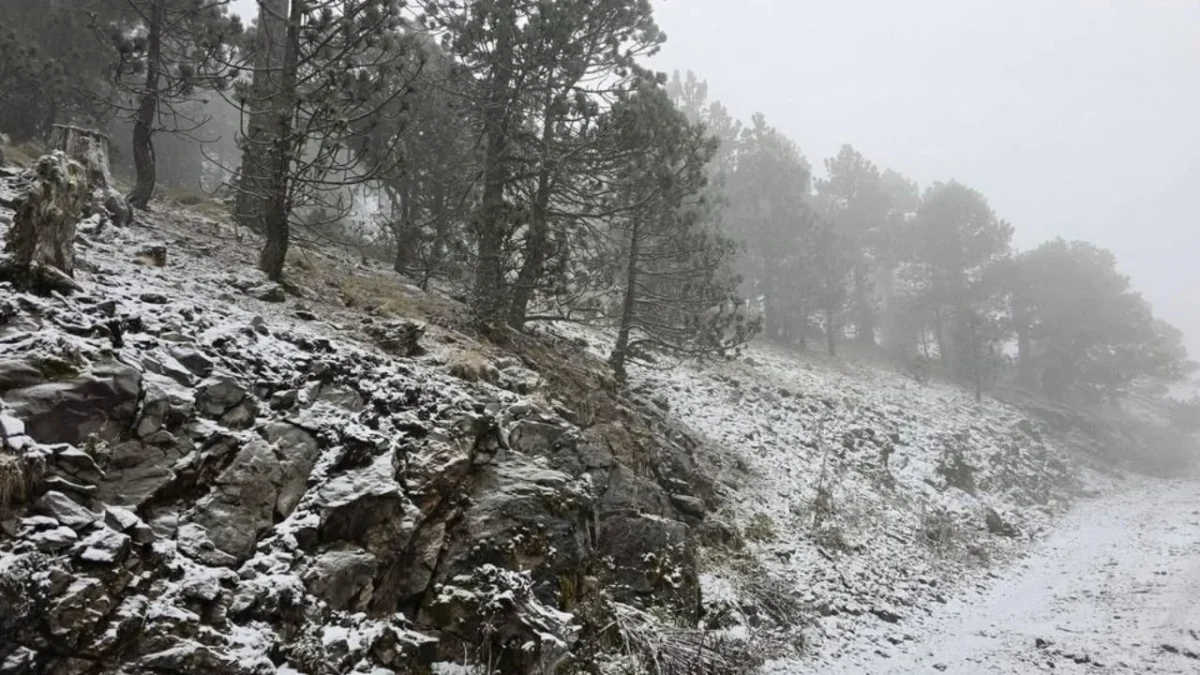 Las lluvias intensas asociadas al Frente Frío 27 impactarán estados del sureste del país, de acuerdo con el Servicio Meteorológico Nacional.