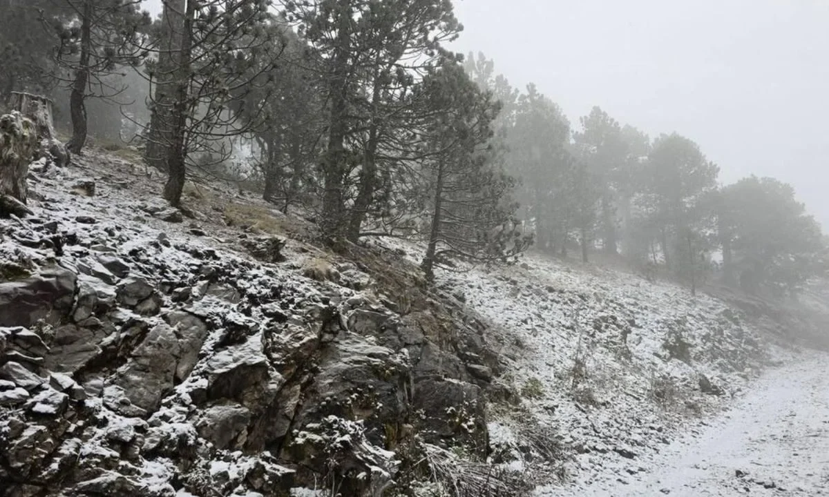 Las lluvias intensas asociadas al Frente Frío 27 impactarán estados del sureste del país, de acuerdo con el Servicio Meteorológico Nacional.