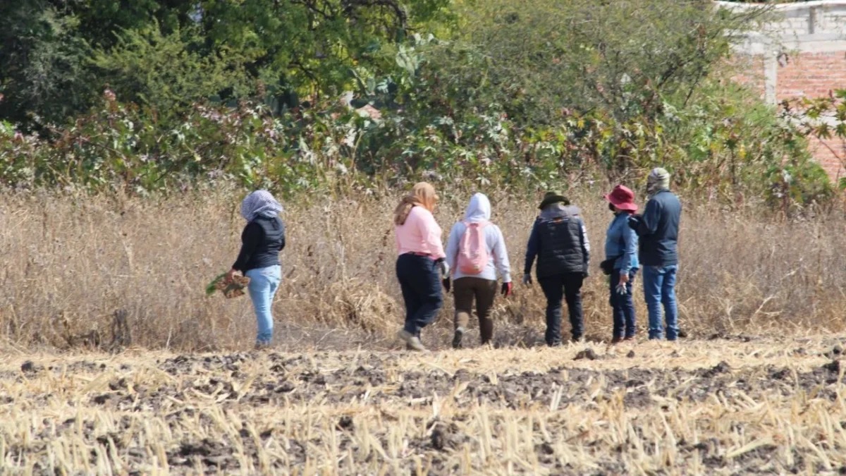 Autoridades estatales y colectivos de búsqueda localizaron al menos 13 cuerpos al interior de dos pozos en el estado de Guanajuato.