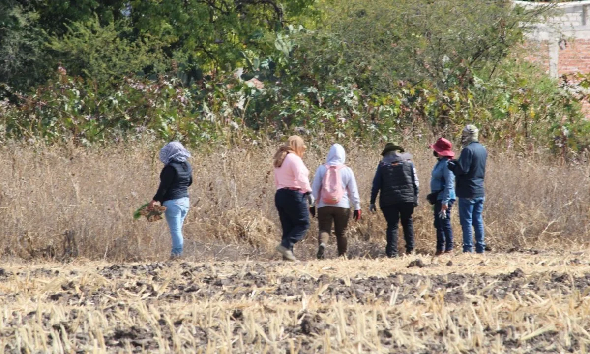 Autoridades estatales y colectivos de búsqueda localizaron al menos 13 cuerpos al interior de dos pozos en el estado de Guanajuato.