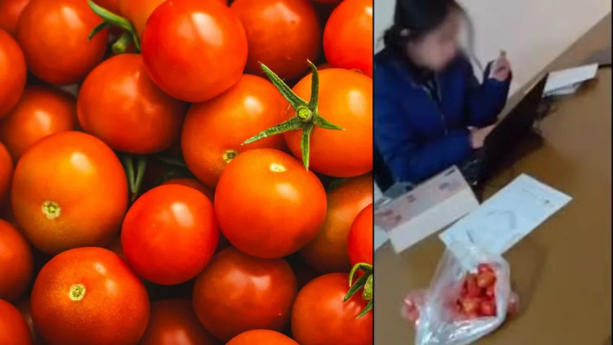 La coacción del sufragio exhibido en el video de #LordJitomates “no es compatible con los principios programa y lineamientos de asambleas”.