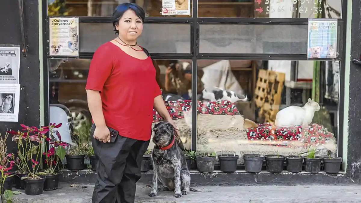 maltrato animal Sonia Paredes En busca de un hogar