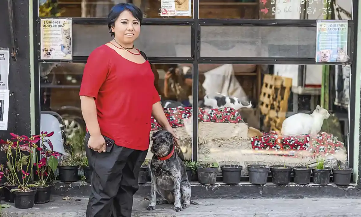 maltrato animal Sonia Paredes En busca de un hogar