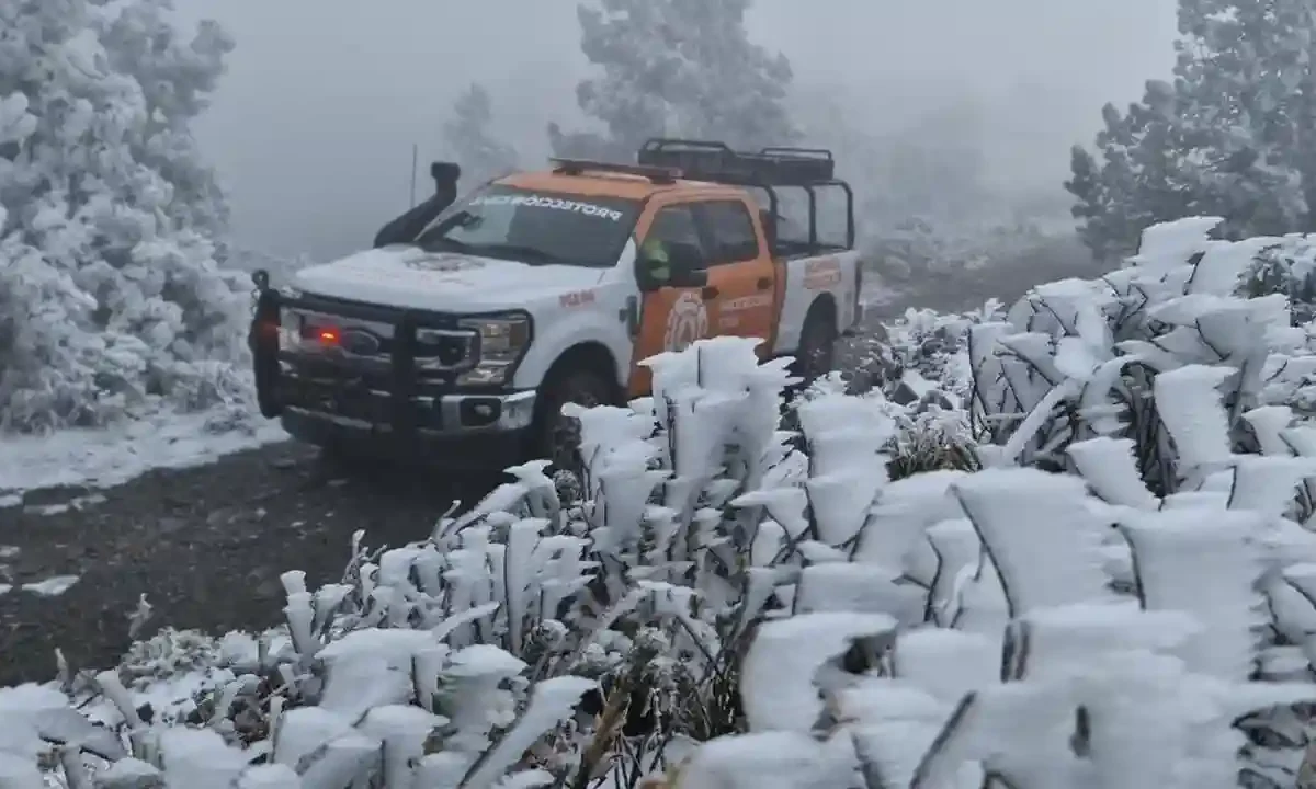nevadas en Chihuahua y Nuevo León