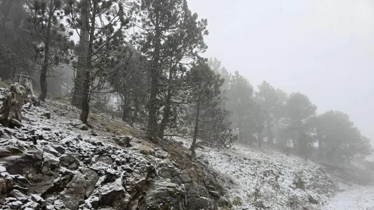No suspenden clases en Nuevo León pese a bajas temperaturas, registra primera nevada