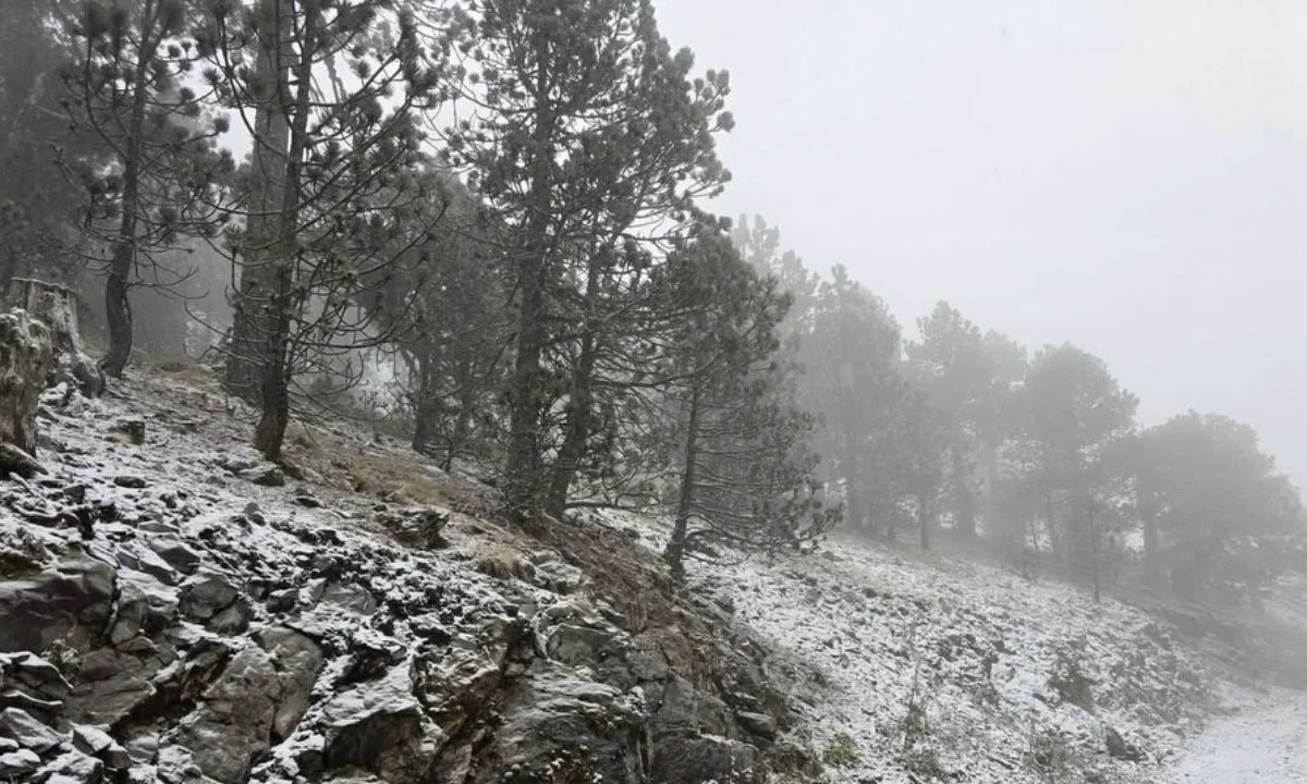 No suspenden clases en Nuevo León pese a bajas temperaturas, registra primera nevada