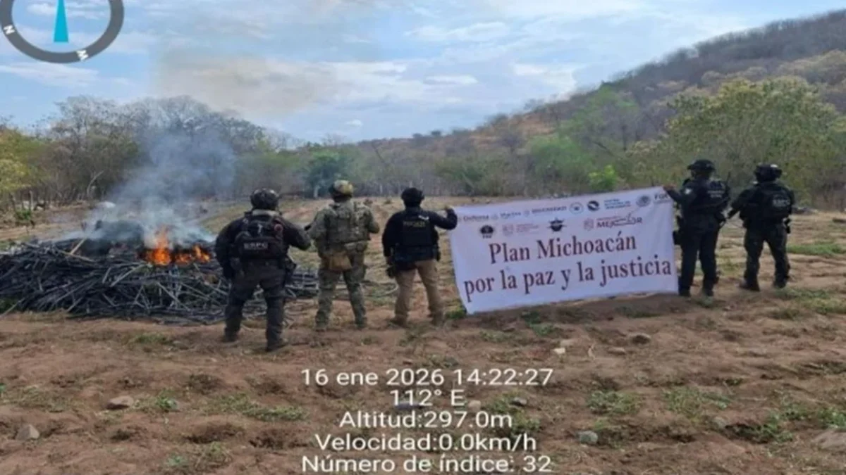 Autoridades aseguran arsenal y animales exóticos, además capturaron a 8 personas y erradicaron plantío de marihuana en Michoacán.