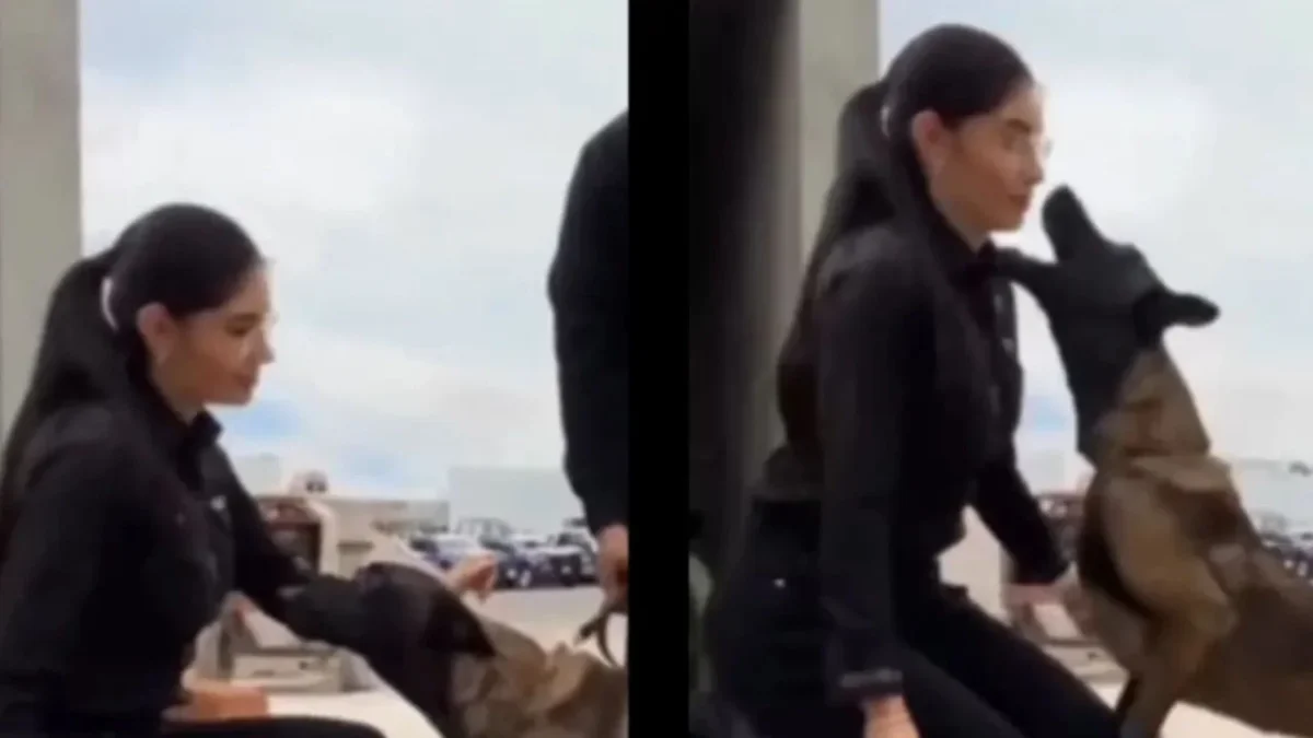 Durante una inspección a la Dirección de Seguridad Pública de Tepic, la alcaldesa Geraldine Ponce casi es mordida por un perro policía.