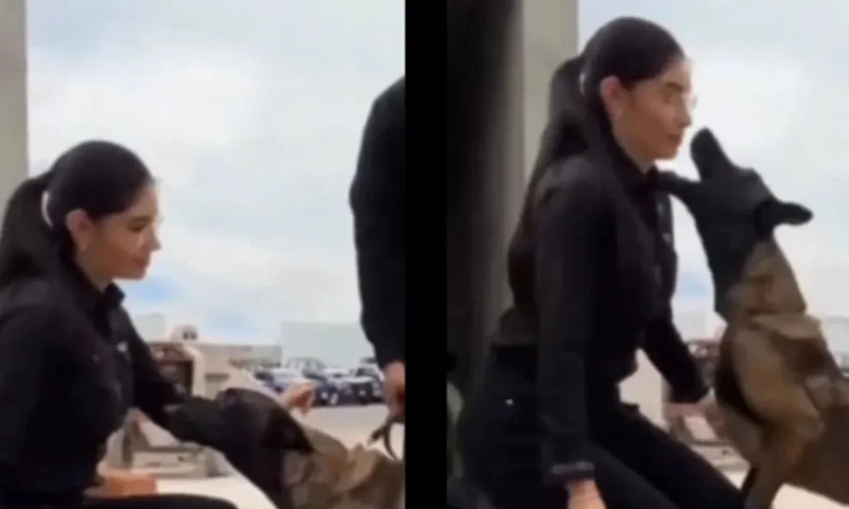 Durante una inspección a la Dirección de Seguridad Pública de Tepic, la alcaldesa Geraldine Ponce casi es mordida por un perro policía.