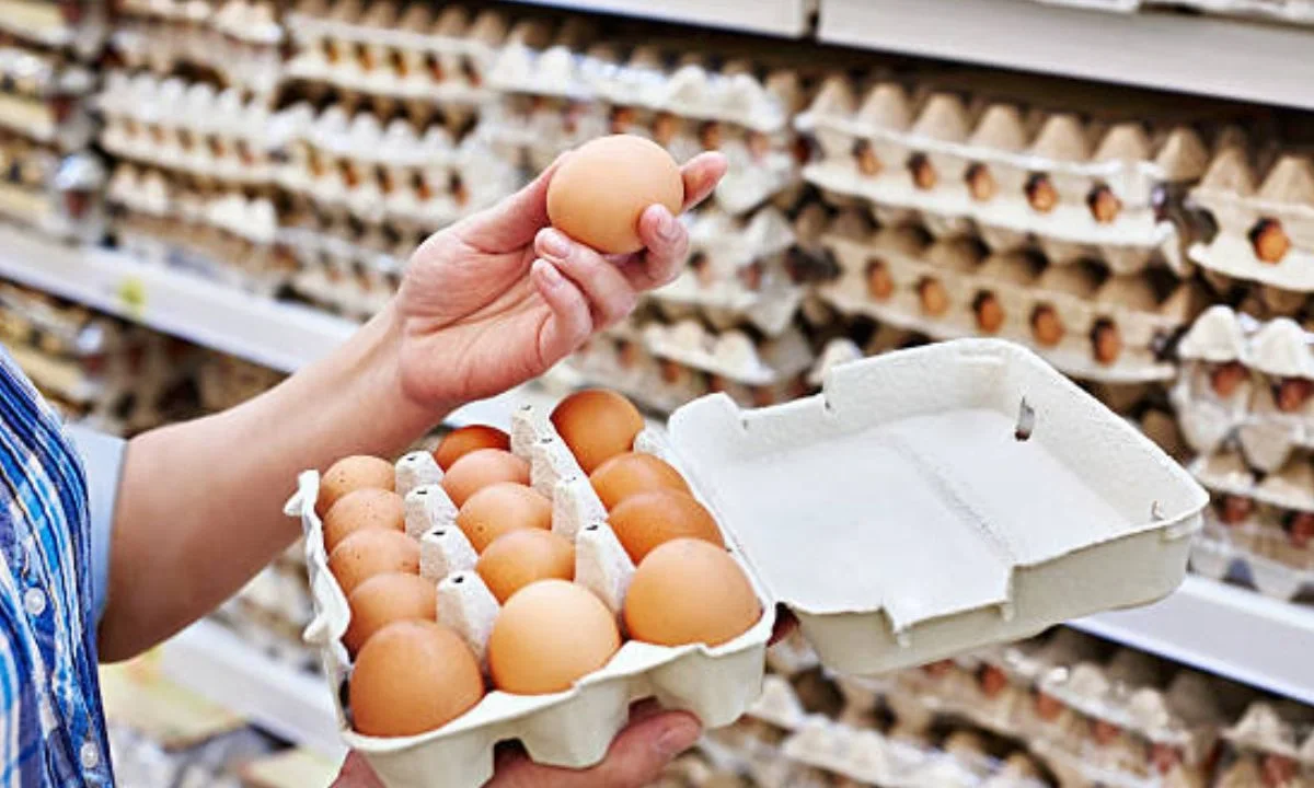 El huevo es un alimento básico en la dieta de las familias mexicanas; Profeco monitorea sus precios para orientar a las y los consumidores.