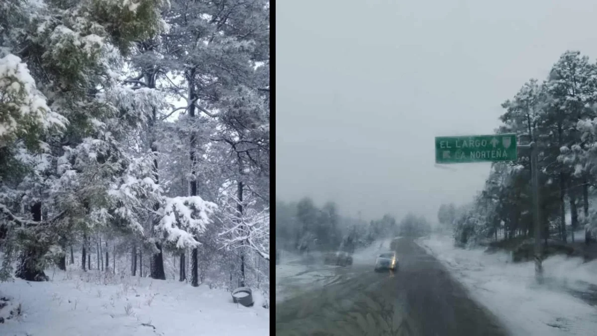 Autoridades locales informaron de la caída de nieve y aguanieve en Chihuahua.