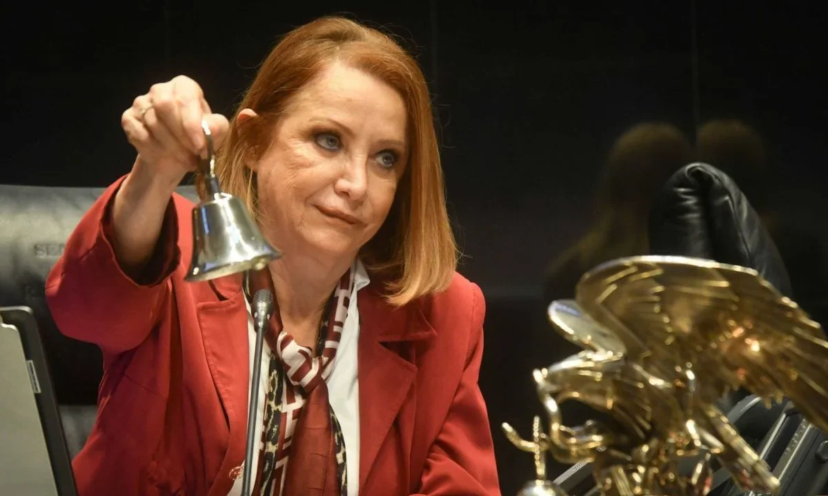 Laura Itzel Castillo aseguró que el Senado no tiene facultad para aprobar ingreso o aterrizaje de aeronaves militares extranjeras en México.