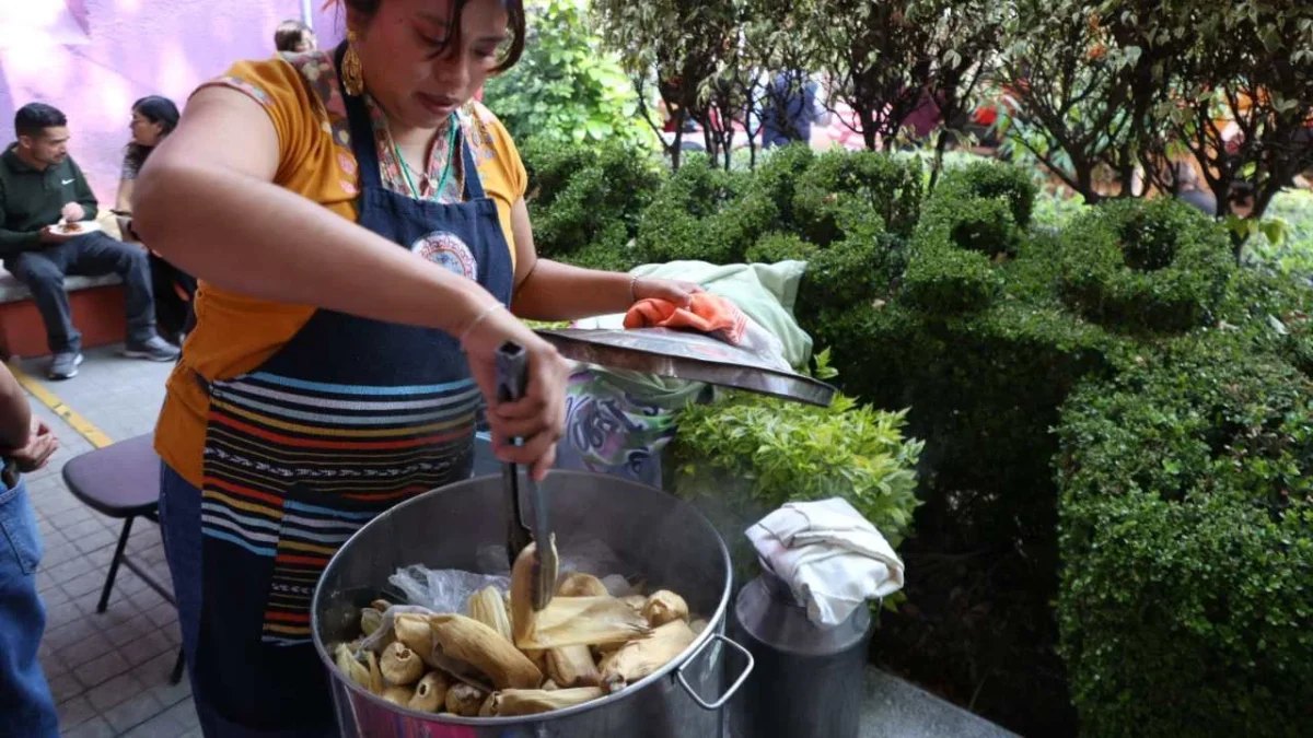 La Tamaliza del 2 de febrero eleva su costo 18% tras el alza de insumos alimenticios.