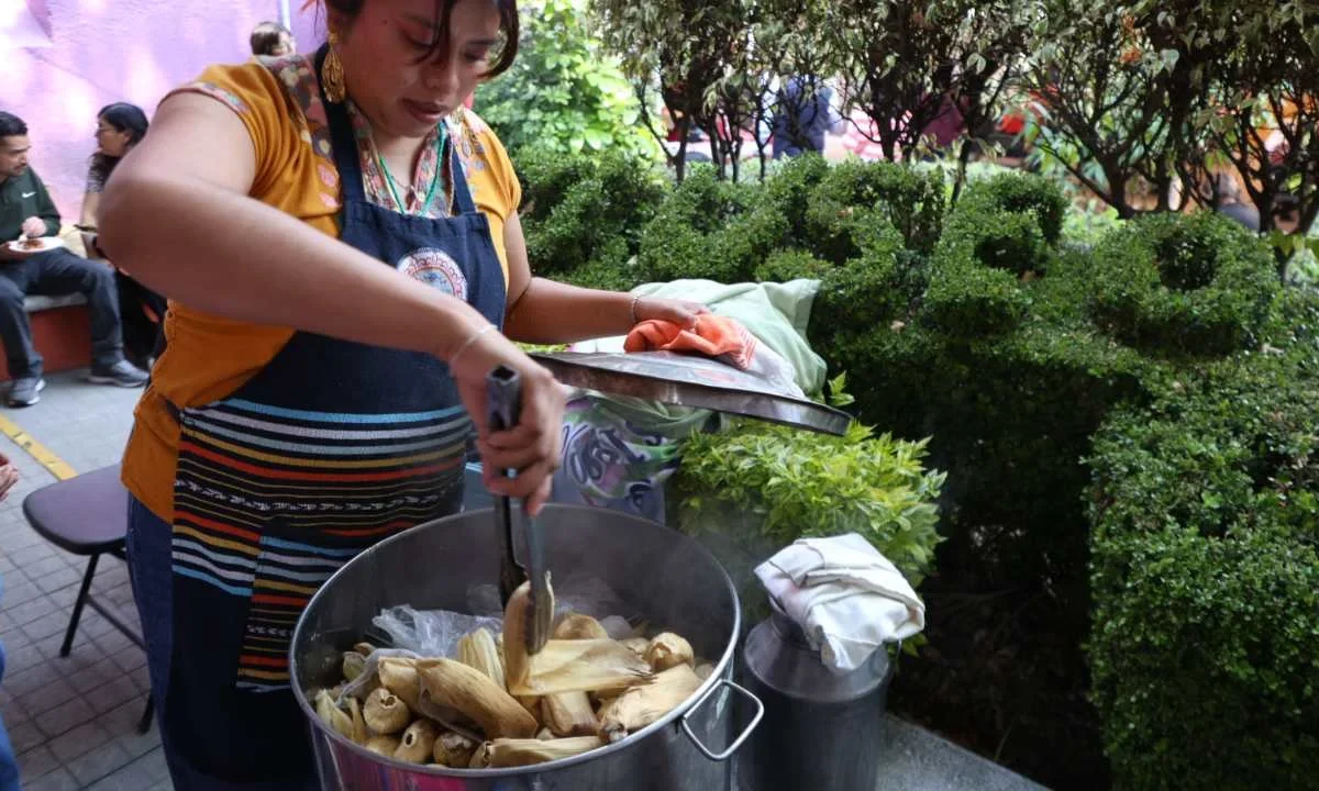 La Tamaliza del 2 de febrero eleva su costo 18% tras el alza de insumos alimenticios.