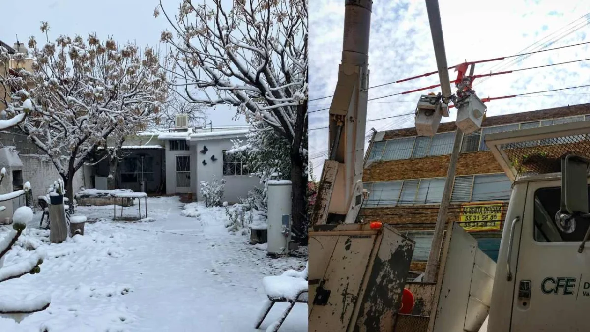 De qué tratan las acciones para garantizar energía eléctrica en México por la tormenta invernal.