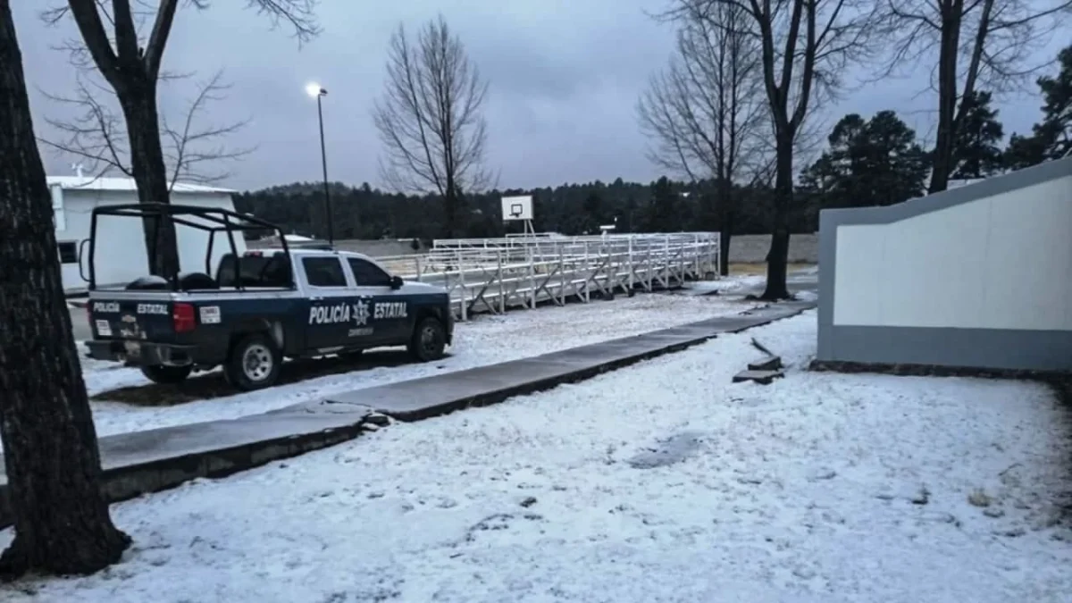 Conoce qué estados decidieron suspender clases ante las bajas temperaturas que se registran en el norte del país por la tormenta invernal.