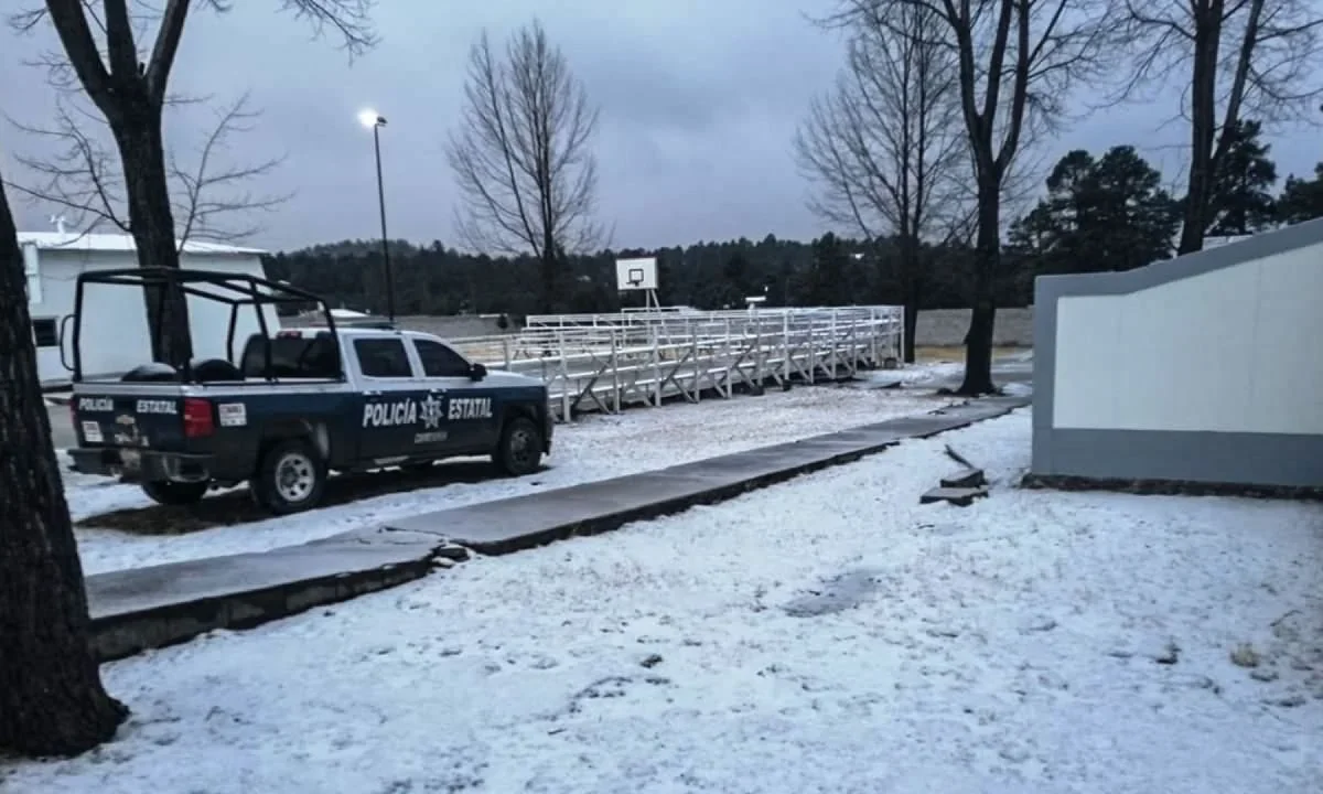 Conoce qué estados decidieron suspender clases ante las bajas temperaturas que se registran en el norte del país por la tormenta invernal.