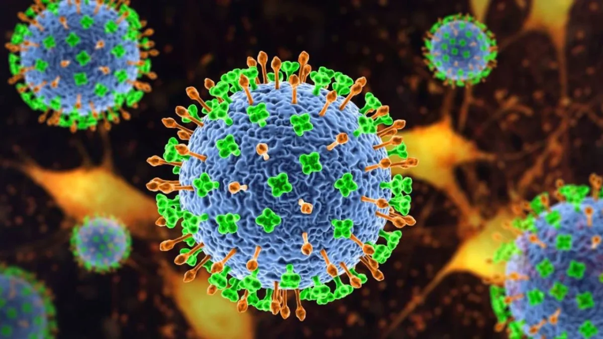 Virus Nipah: Cuáles son los síntomas de esta enfermedad reportada en India