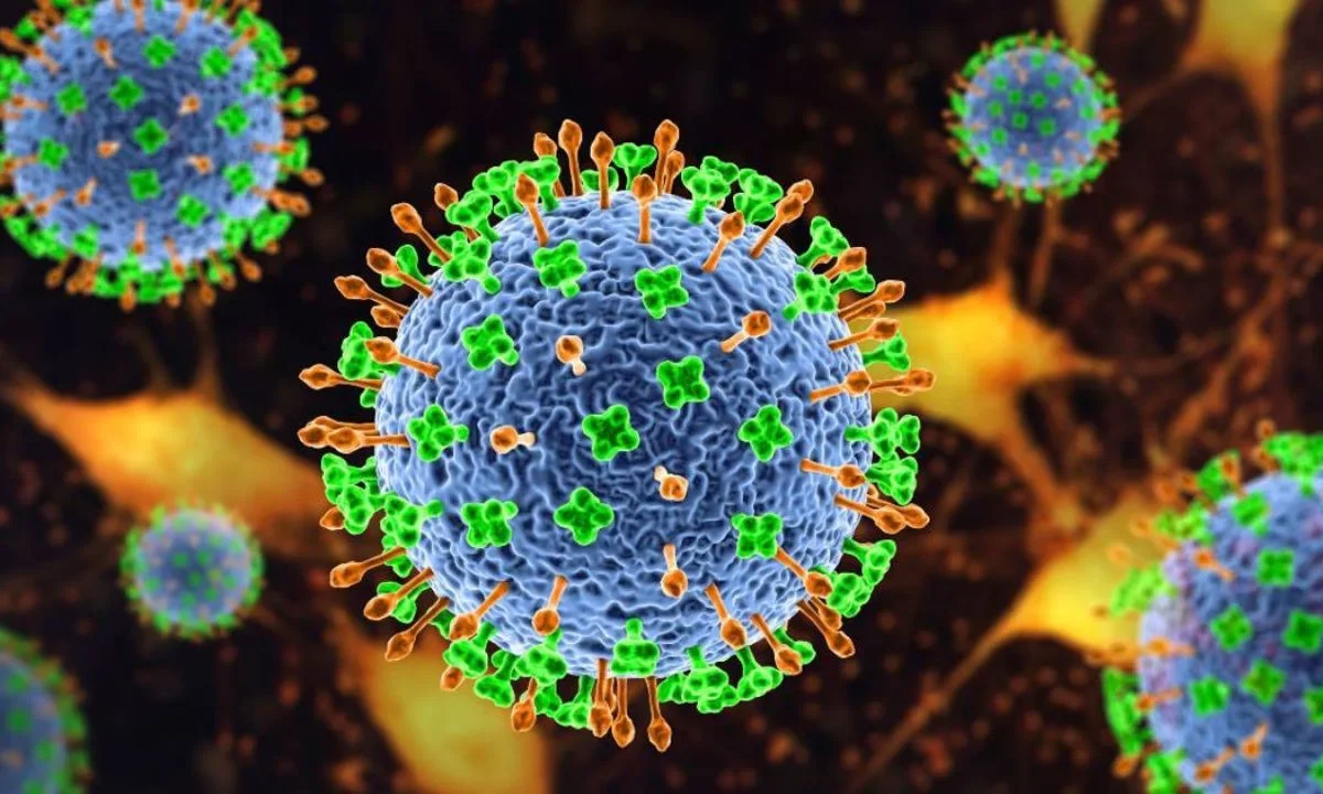 Virus Nipah: Cuáles son los síntomas de esta enfermedad reportada en India