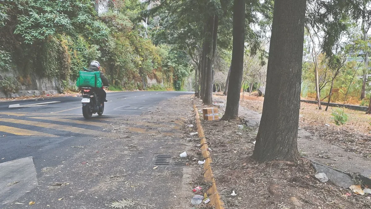 Bosques de las Lomas vive entre el olvido y altos pagos de predial